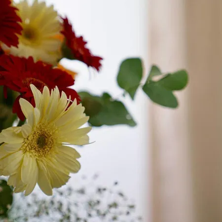 Frühstückspension Stazione Palermo